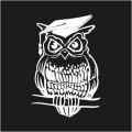 Graduation Owl