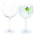 Dartington Gin and Tonic Copa (Pair)